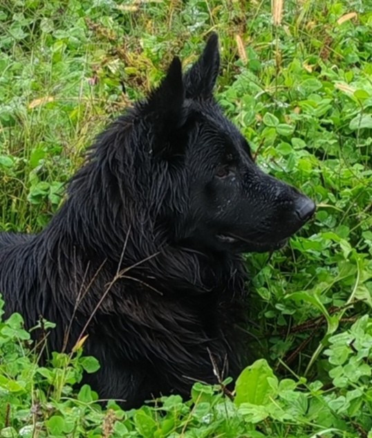 Vinka du Chalet des Pierres de Lune
